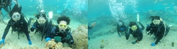 沖縄体験ダイビング口コミ